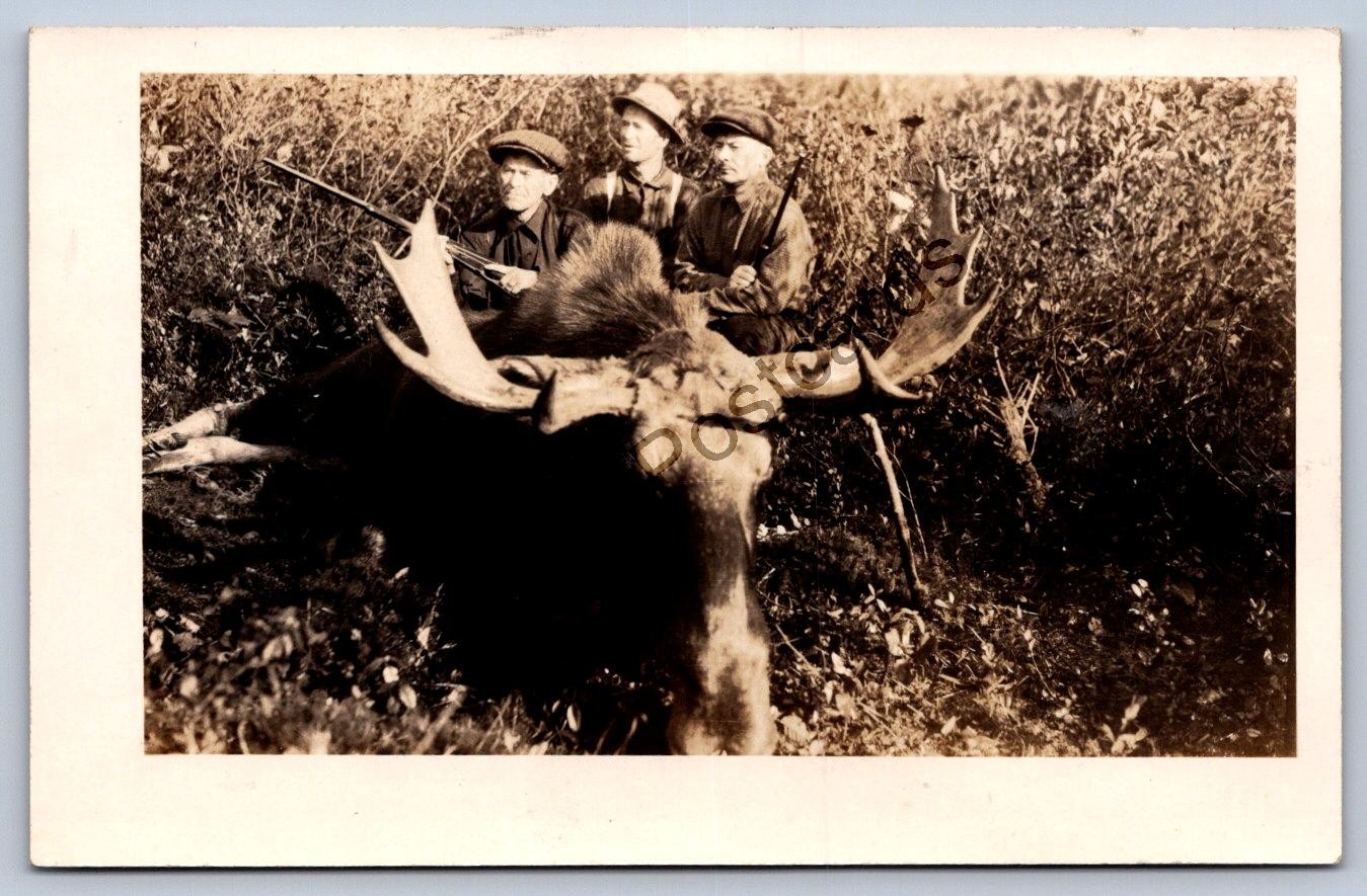 K58/ Interesting RPPC Postcard c1910 Moose Hunting Men Rifle Antlers 243