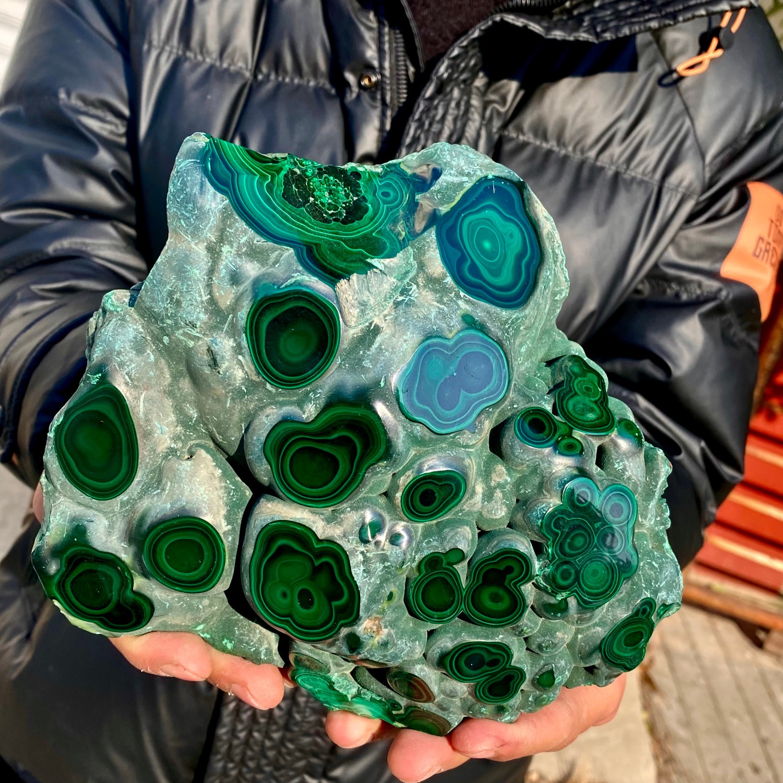 3.9LB Natural tortoise Malachite  cluster coarse mineral sample