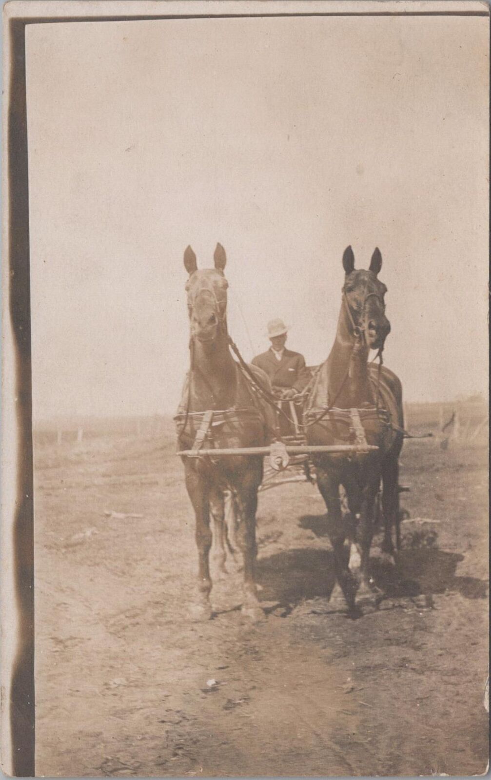 RPPC Postcard Man Driving Team of Horses in Carriage 