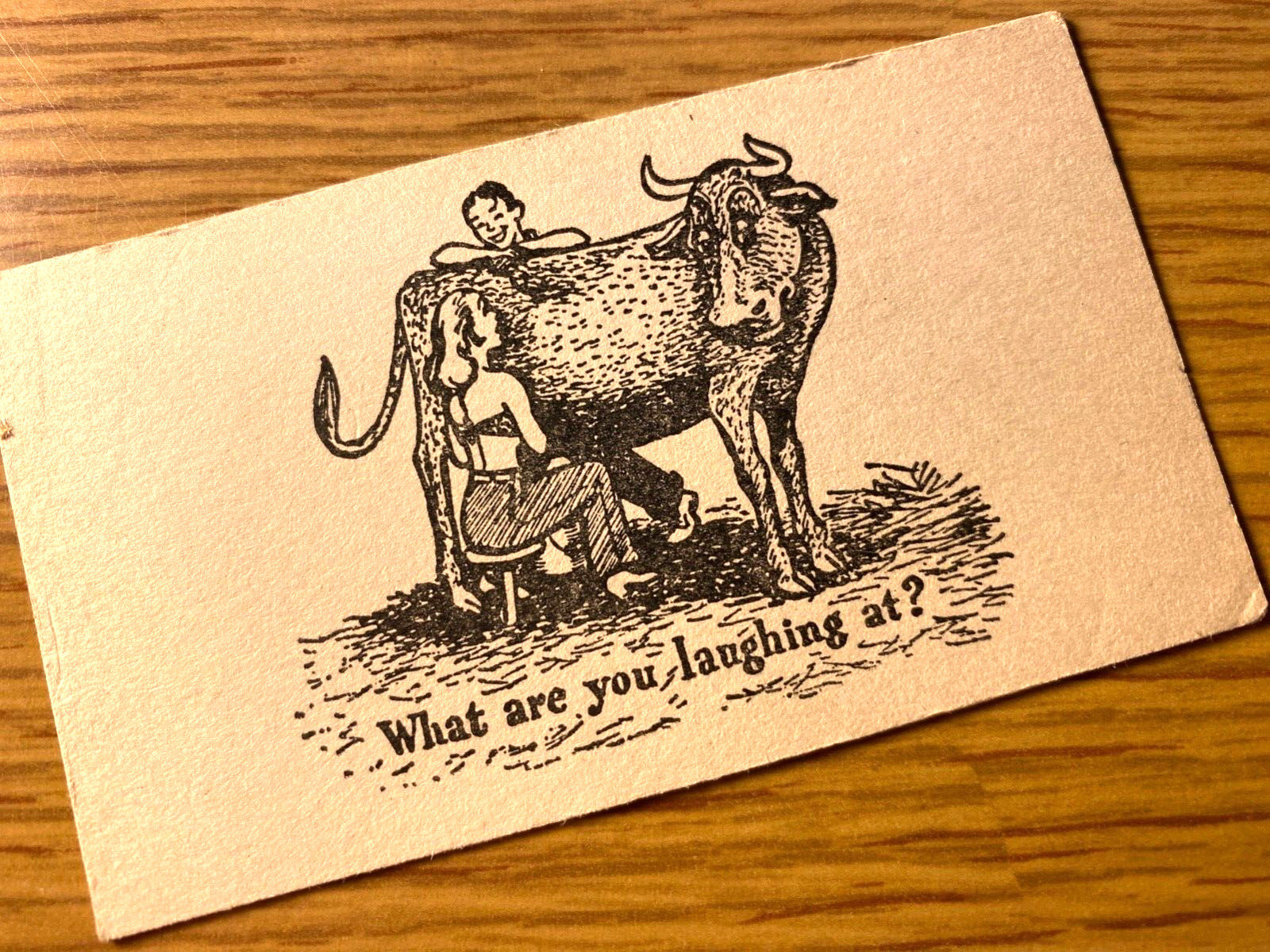1940s What Are You Laughing At? Vintage Humorous Risqué Card Woman Milking A Cow