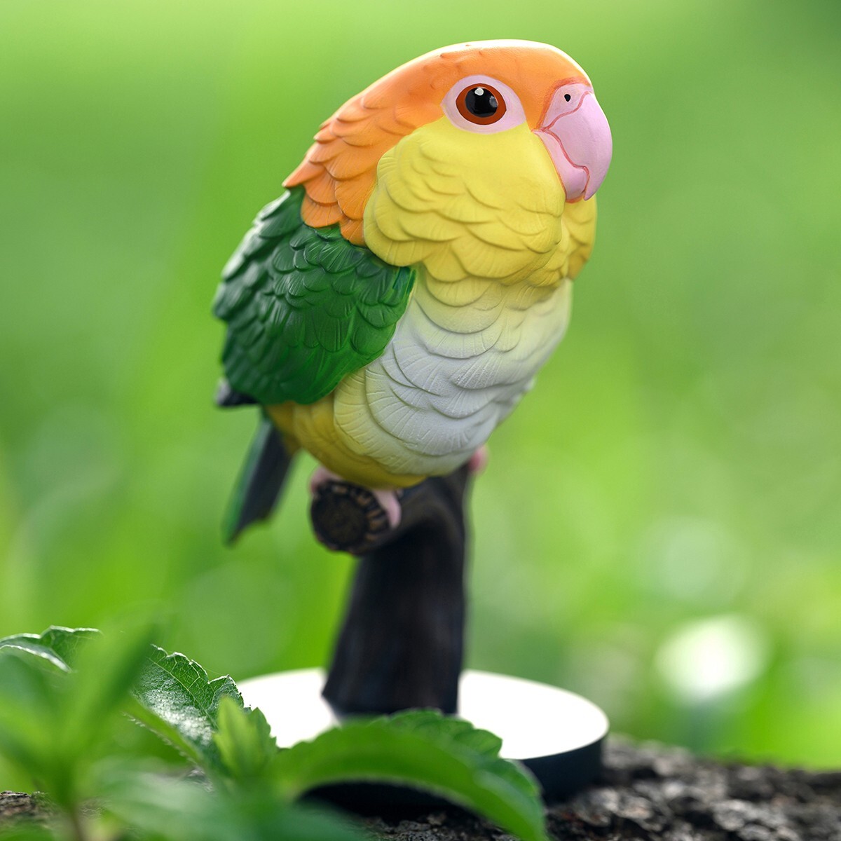 Animal Heavenly Body White-bellied Caique Pionites Parrot Statue