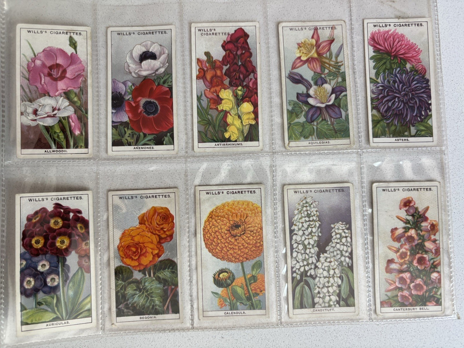 WD HO Wills 1939 Cigarette Cards Garden Flowers Series 1 Full Set of 50