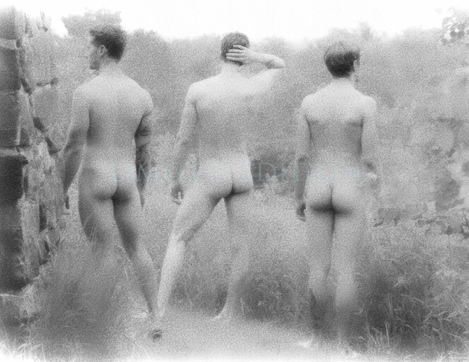 Handsome Male Nude Physique Gay Men Limited Edition Photo 8.5x11 4.24