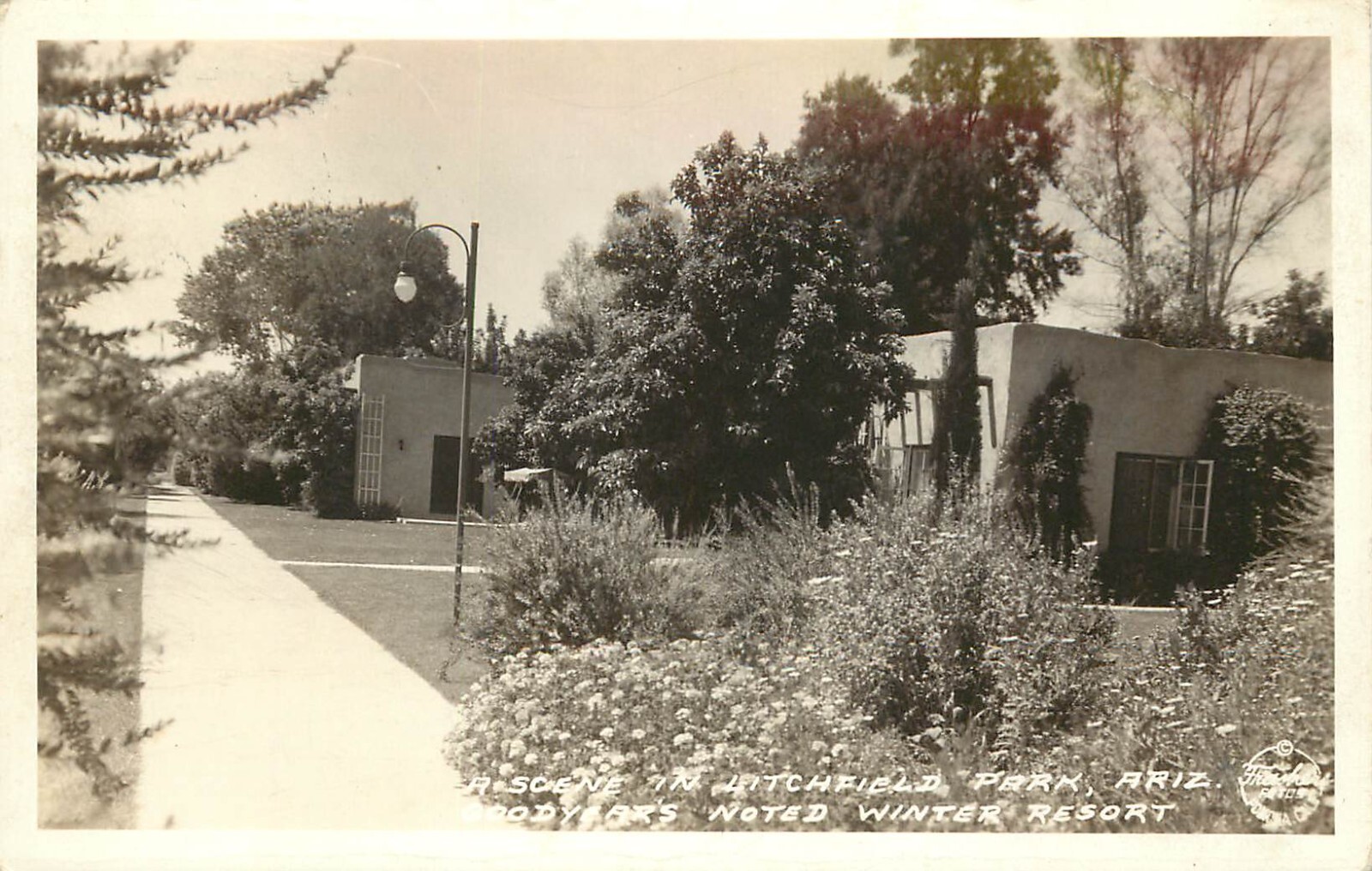 Frashers RPPC; Litchfield Park Scene, Goodyear AZ Noted Winter Resort, c1938