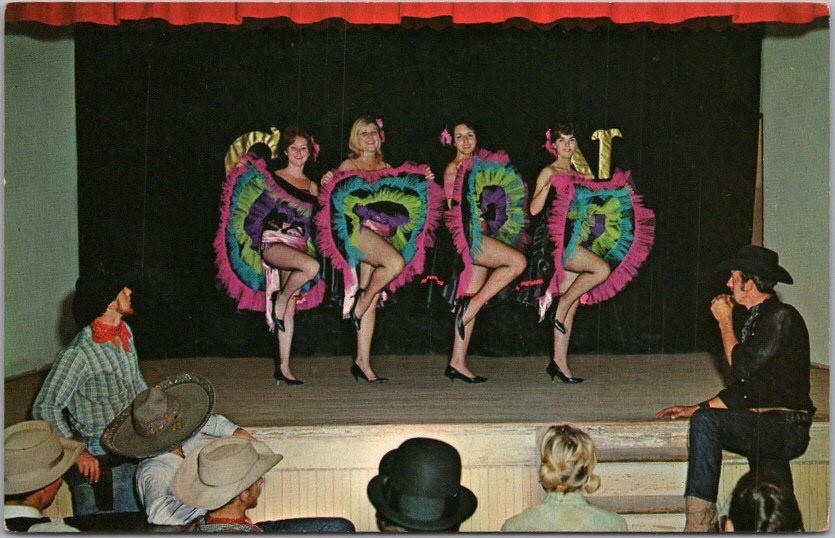 c1960s Sarasota Florida Postcard FLORIDA AMUSEMENT PARK \