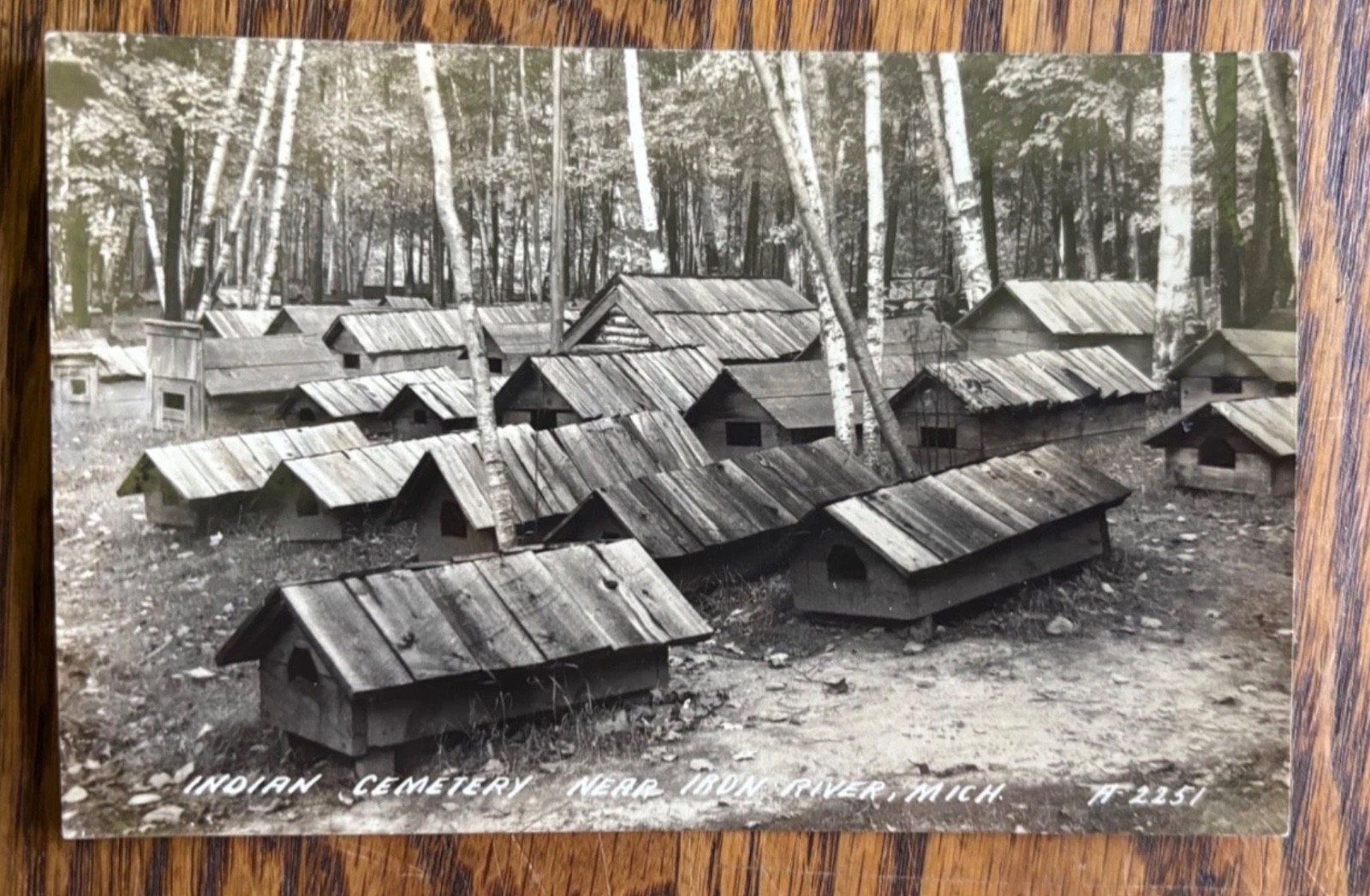 1911 RPPC Indian Cemetery Twin River Michigan Ojibwe Grave Houses Mailed