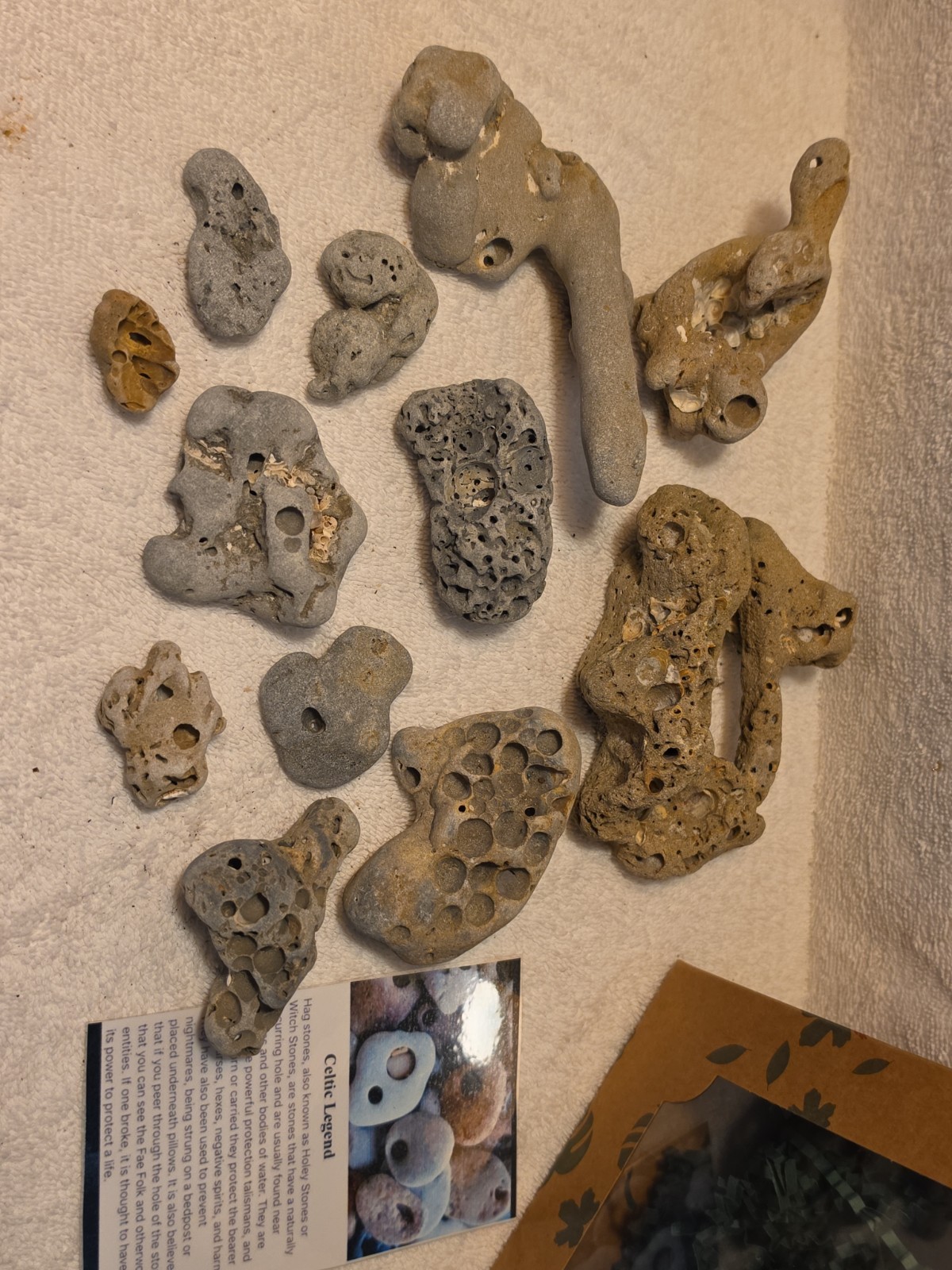 12 Holey Rocks Hag Stones Natural Beach  Mystical Hole Fairy 
