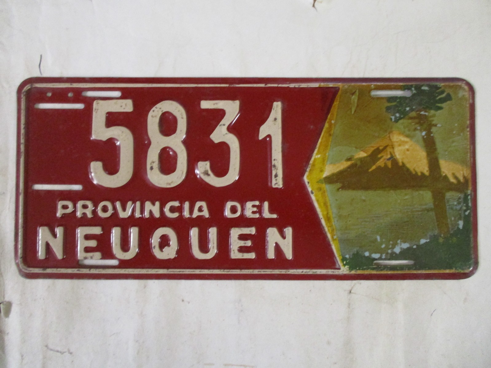1960s Argentina Provincia Del Neuquen Hand Painted   License Plate Tag NICE SP