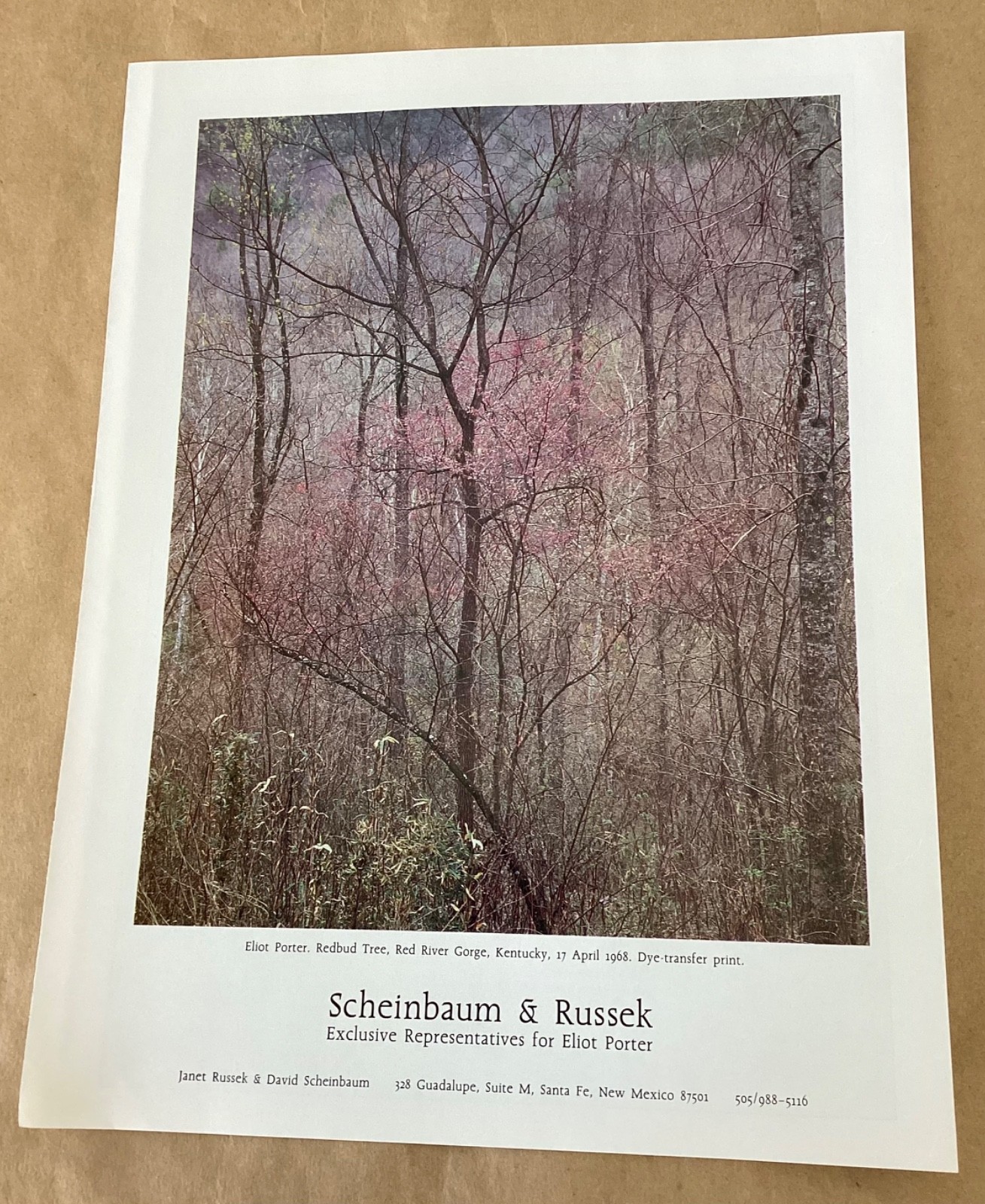 Eliot Porter gallery exhibition ad 1988 vintage mgzne art show print Redbud Tree