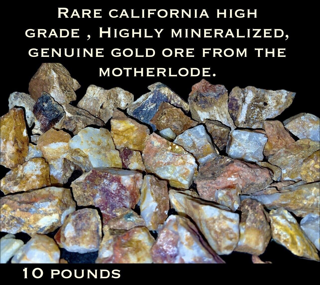 5LB HIGH GRADE HIGHLY MINERALIZED GOLD ORE W/VISIBLE GOLD FROM THE MOTHERLODE