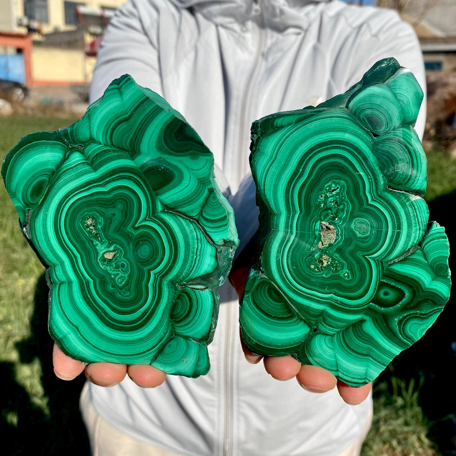 2.06LB A Pair Natural Green Malachite Slab Quartz Crystal Slice Ore Specimen