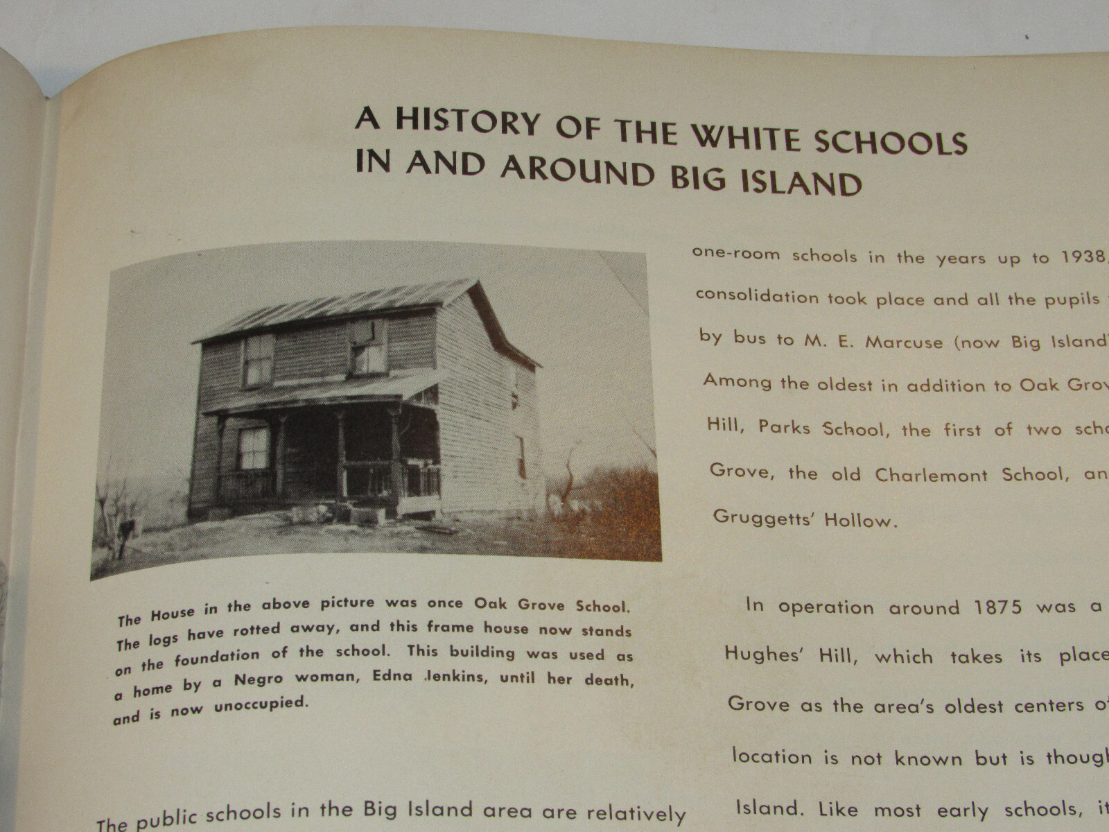 VTG 1952 BOOK '2 CENTURIES OF BEDFORD COUNTY SCHOOL DAYS' HISTORY YEARBOOK VA