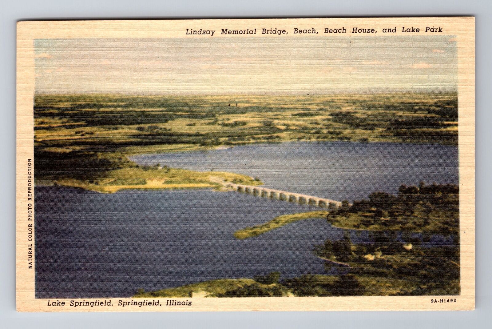 Springfield IL-Illinois, Lindsay Mem Bridge, Lake Park Souvenir Vintage Postcard
