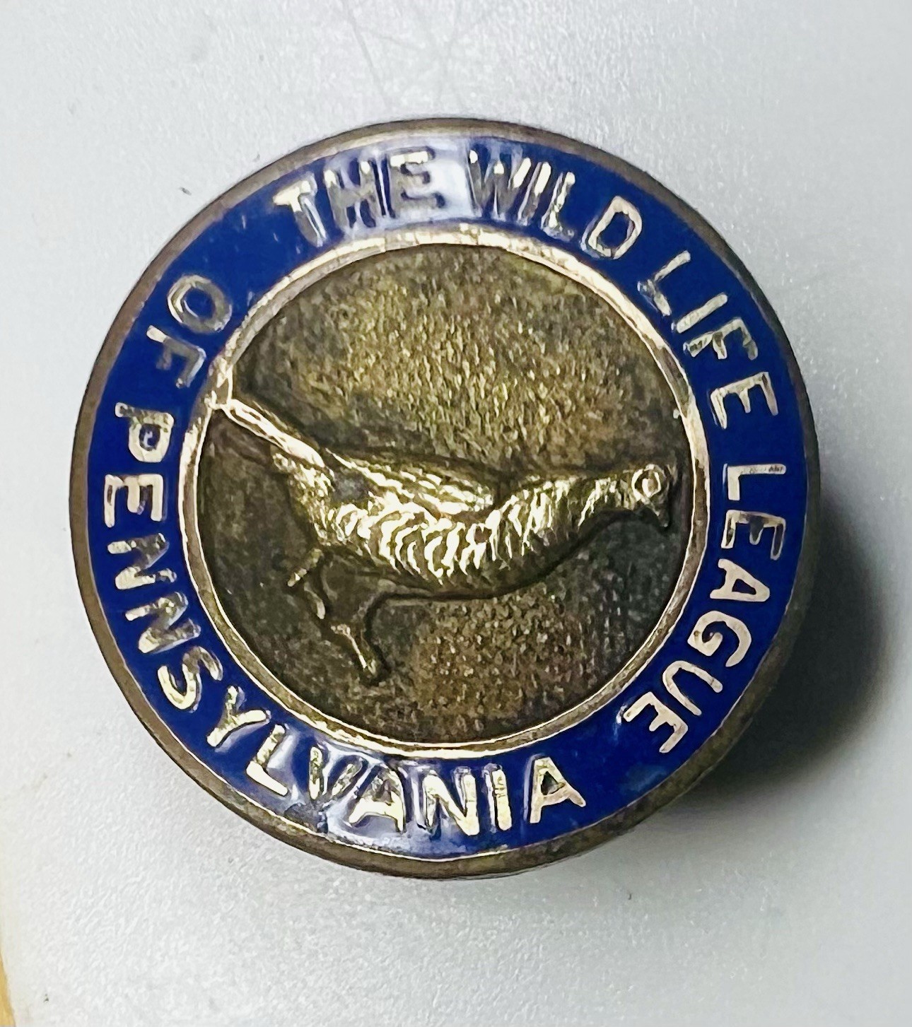 Wild Life League Of Pennsylvania Screw Back