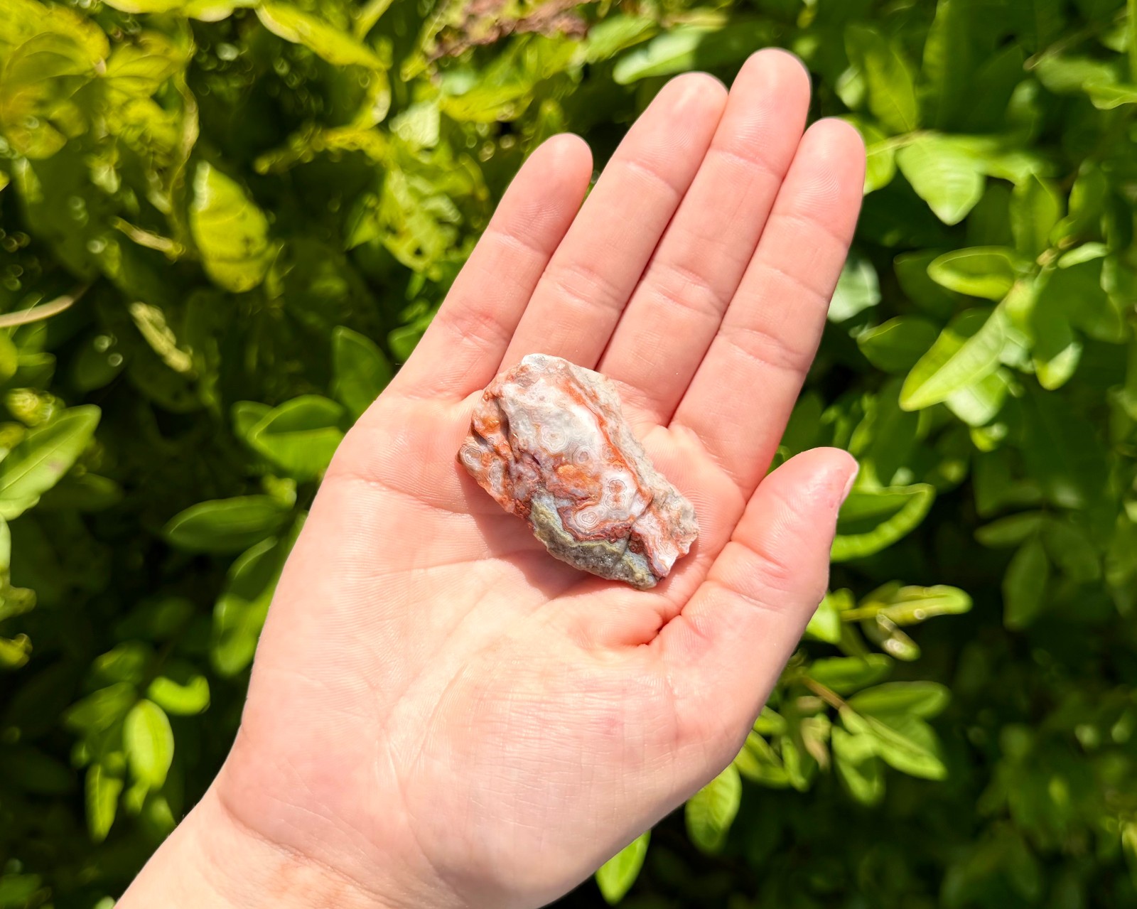 Crazy Lace Agate Rough Natural Stones - Choose How Many (Raw Agate Crystals)