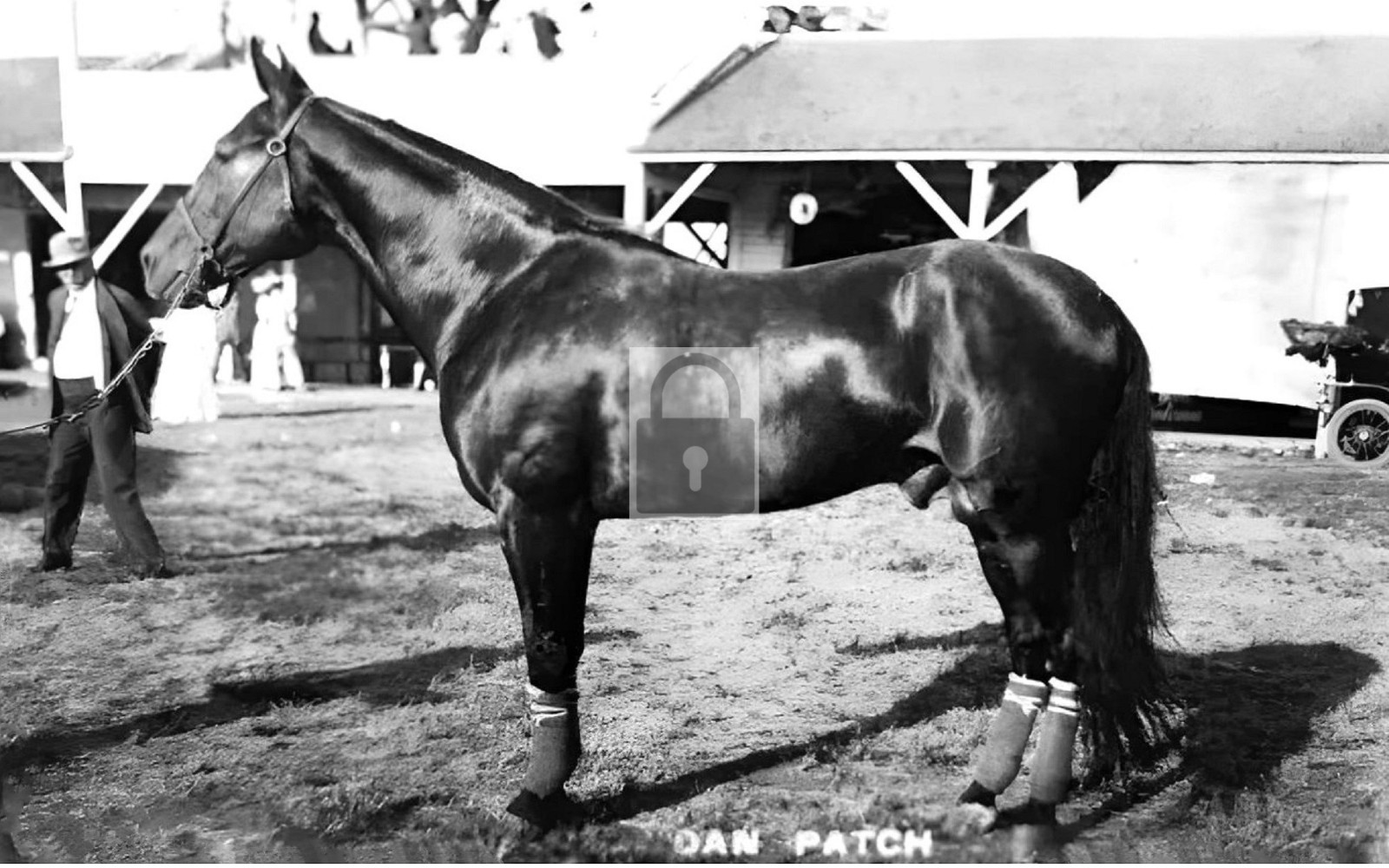 Dan Patch Harness Horse Racing Champion - Reprint