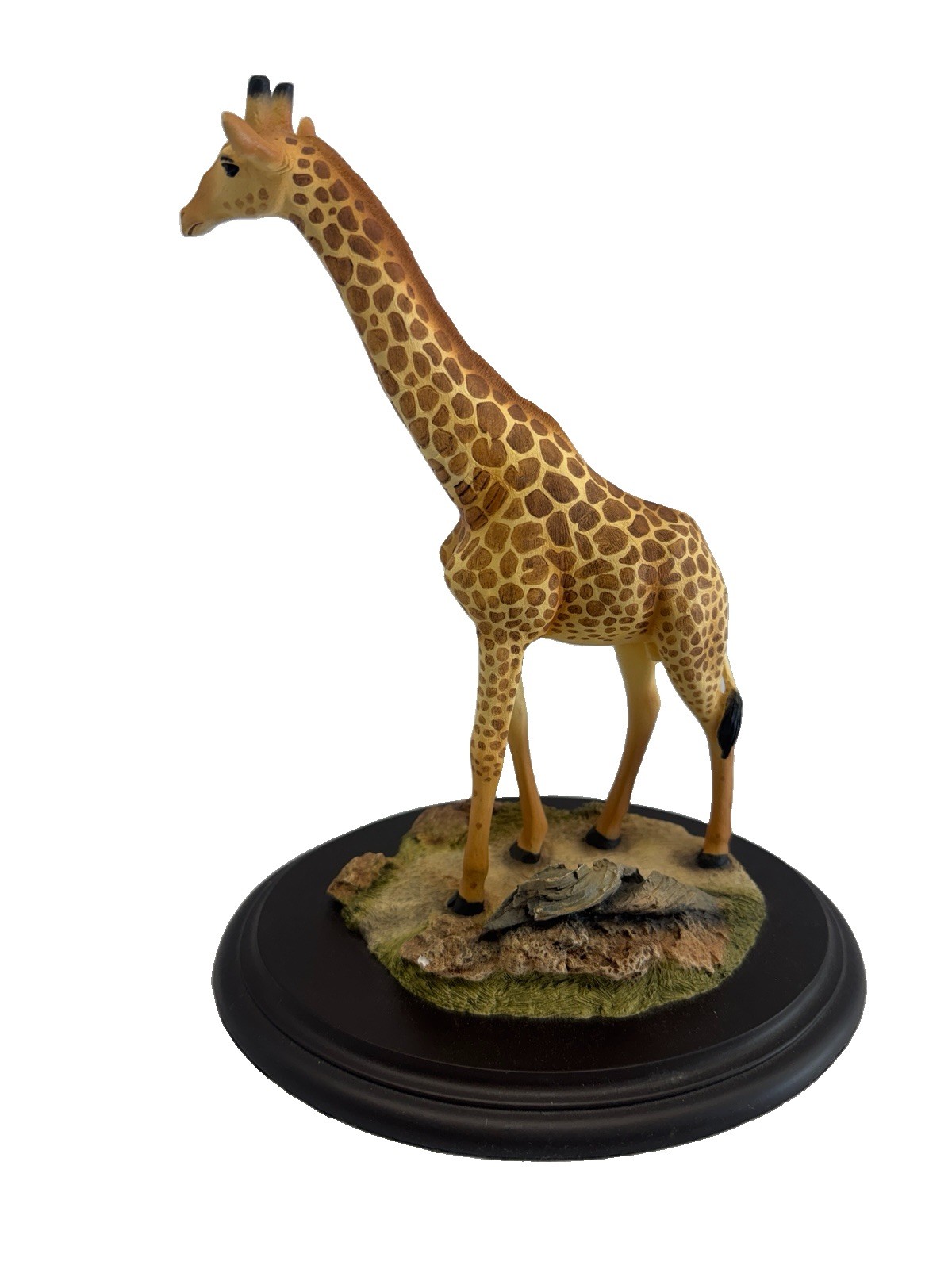 Feathers of Knysna GIRAFFE Hand Carved Limited Edition SKU# 482/5000 Collector\'s