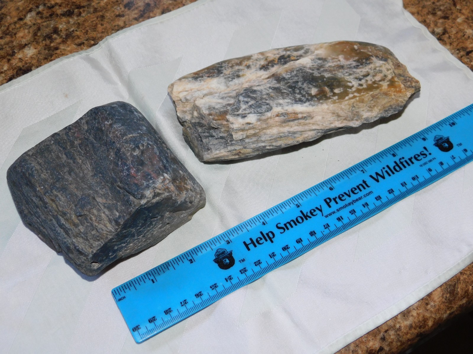 2 Chunks of South Dakota Petrified Wood (3 pounds 10 ounces) 2 Chunks of South Dakota Petrified Wood (3 pounds 10 ounces)