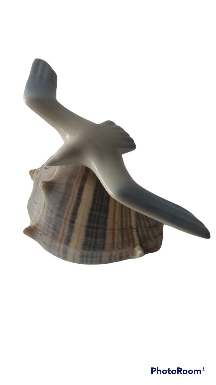 VTG Seagull Shorebird Beach Crown Conch Seashell Art Sculpture by Crowning Touch