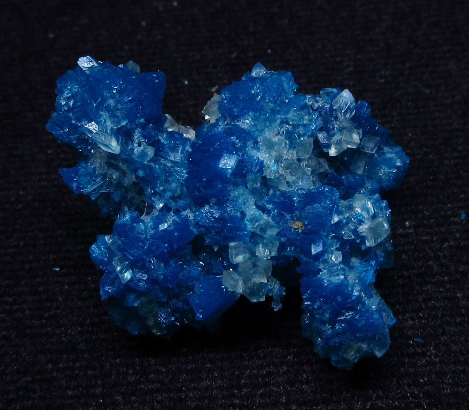 Cavansite with calcite (non-precious natural stone) # 1753