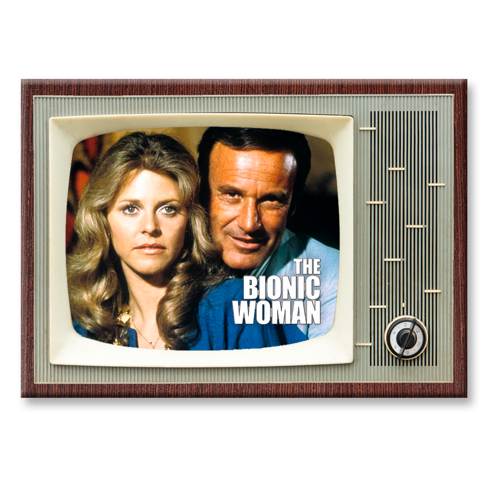 THE BIONIC WOMAN TV Show Classic TV 3.5 inches x 2.5 inches FRIDGE MAGNET THE BIONIC WOMAN TV Show Classic TV 3.5 inches x 2.5 inches FRIDGE MAGNET