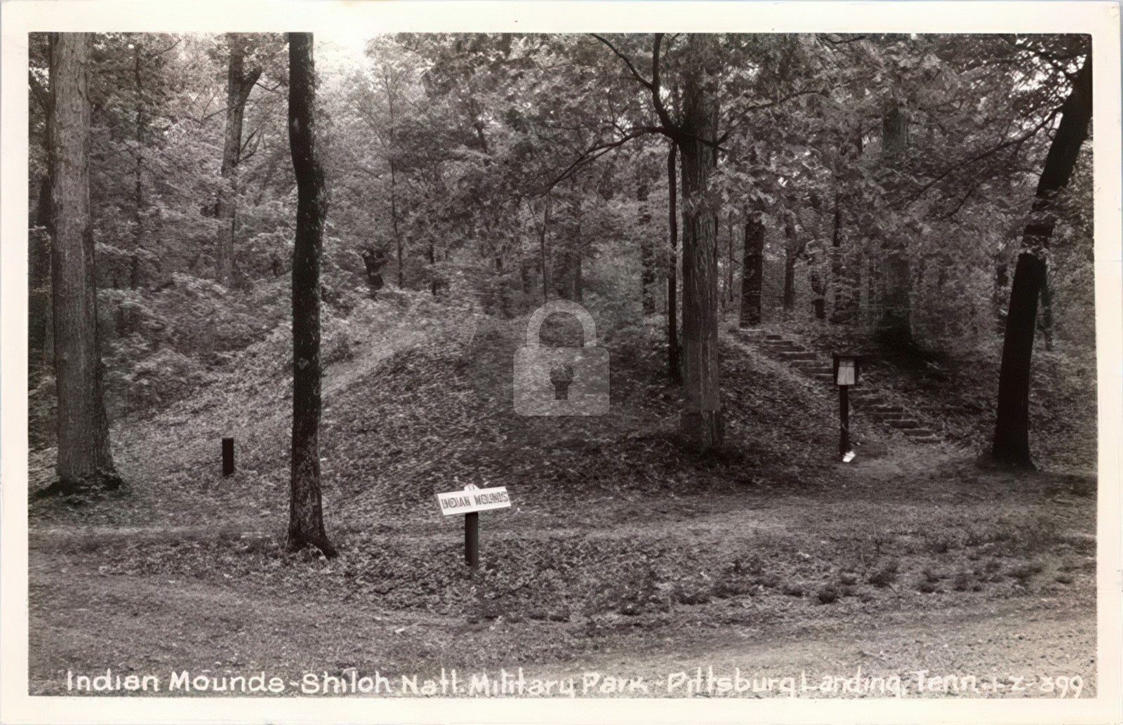 Pittsburg TN Indian Mounds on Shiloh Battlefield Cline 1950s RPPC Postcard COPY Pittsburg TN Indian Mounds on Shiloh Battlefield Cline 1950s RPPC Postcard COPY