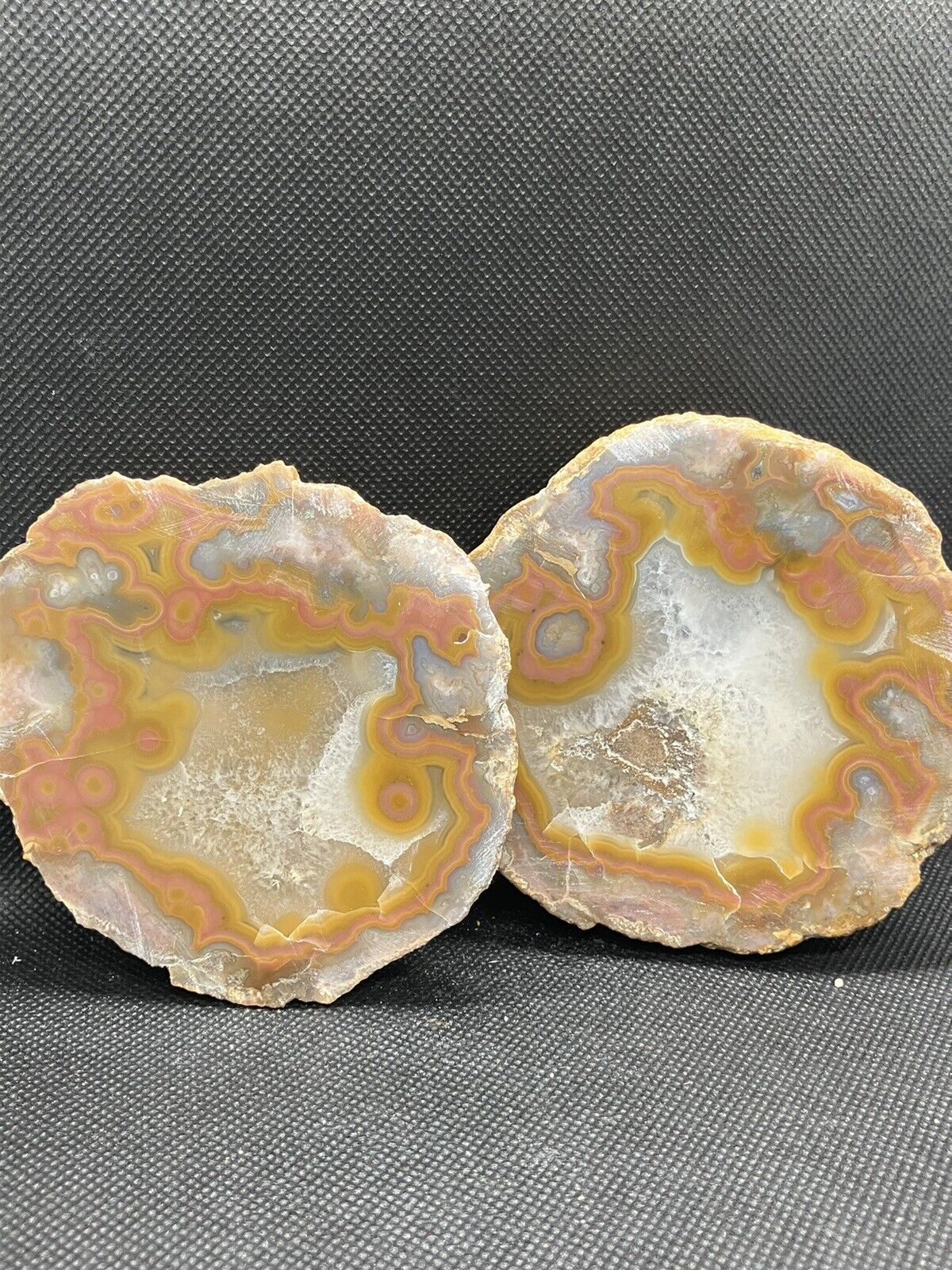 CUT AND POLISHED ESTIL COUNTY KENTUCKY Agate Display Top Quality