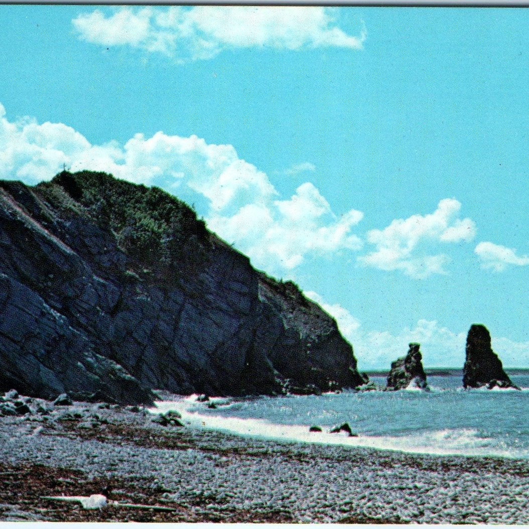 c1960s Presqu\'ile Cabot Trail Postcard Cape Breton Highlands NS Sea Stacks c1960s Presqu\'ile Cabot Trail Postcard Cape Breton Highlands NS Sea Stacks