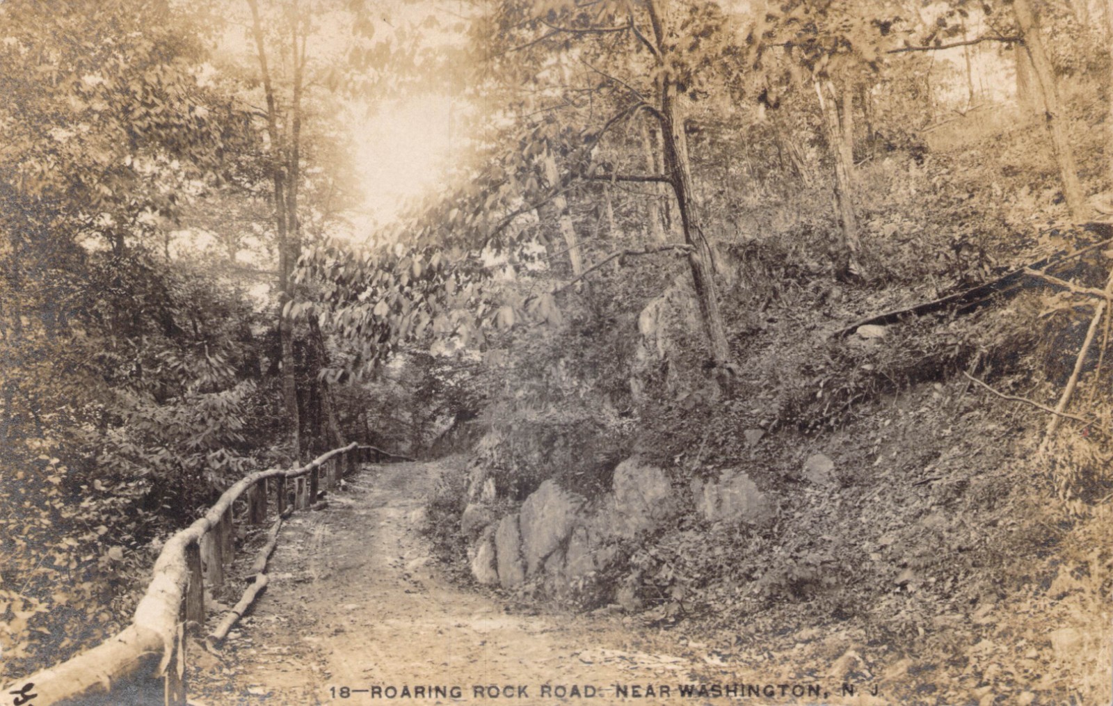 Roaring Rock Road near Washington N. J.  Vintage Postcard