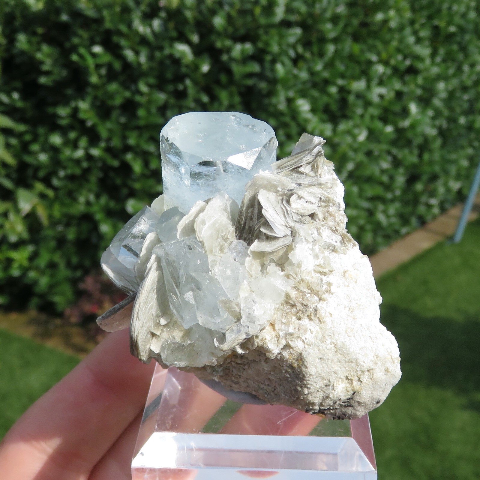 Aquamarine Beryl Crystals On Matrix Pakistan