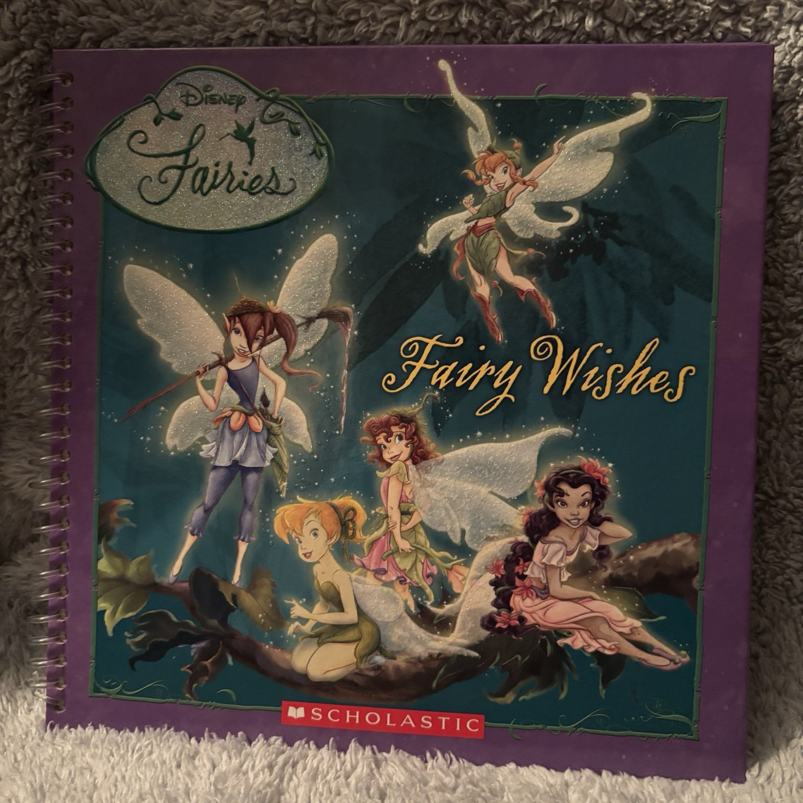 Disney Fairies Fairy Wishes Book 2007 Tinker Bell New Scholastic Guided Diary
