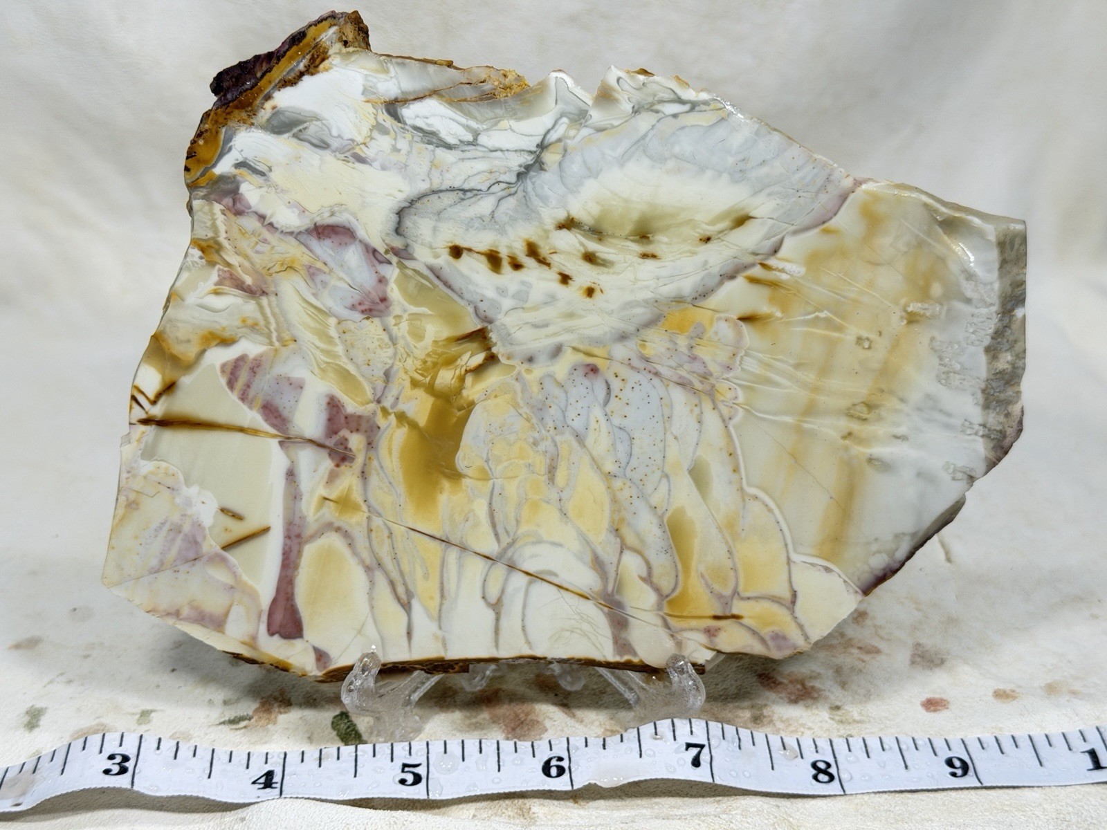 Large Willow Creek Jasper Slab, Lot#69