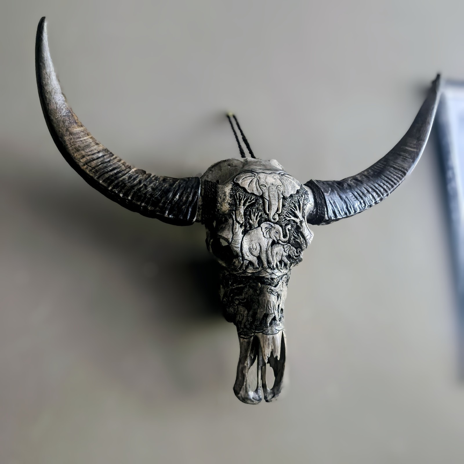 Large Hand Carved Water Buffalo Skull Elephant Motif 🐘