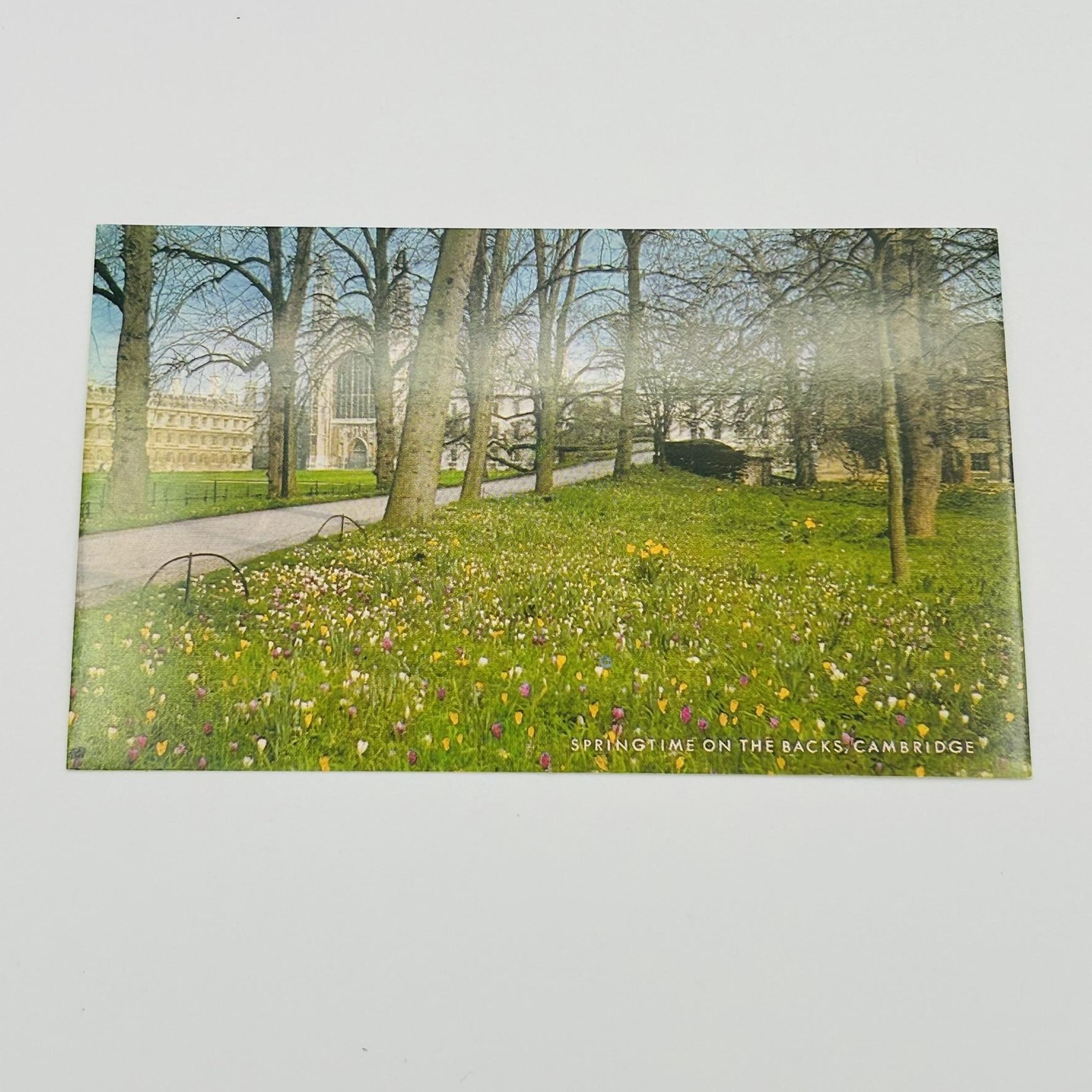 Salmon Postcard Springtime On The Backs Cambridge 5.5x3.5in 1971 UK Unposted