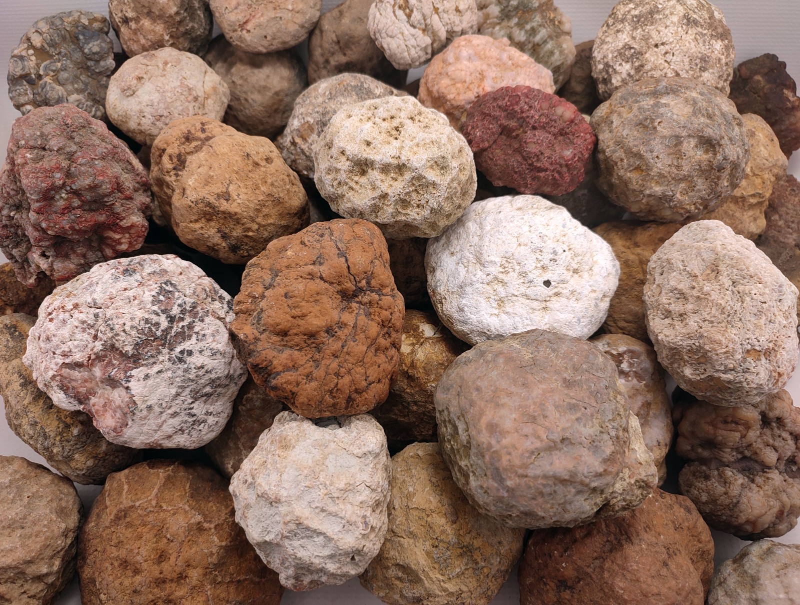 Quantity of 6 Large Unopened Geodes Agates Nodules 6-8 LB Mixed Bulk Lot Variety