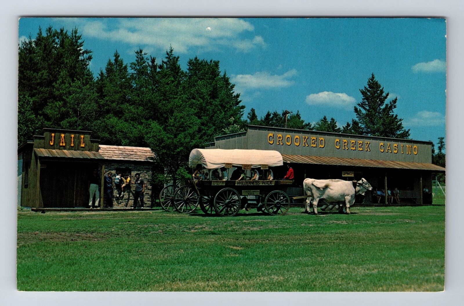 Hayward WI-Wisconsin, Wilderness Walk, Antique, Vintage Postcard
