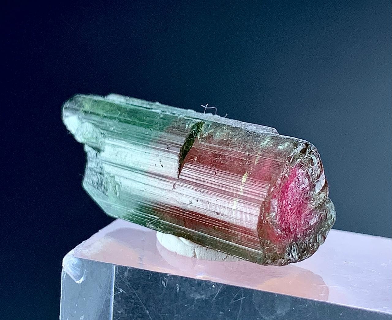 25 Carat Watermelon Tourmaline Crystal Specimen From Afghanistan