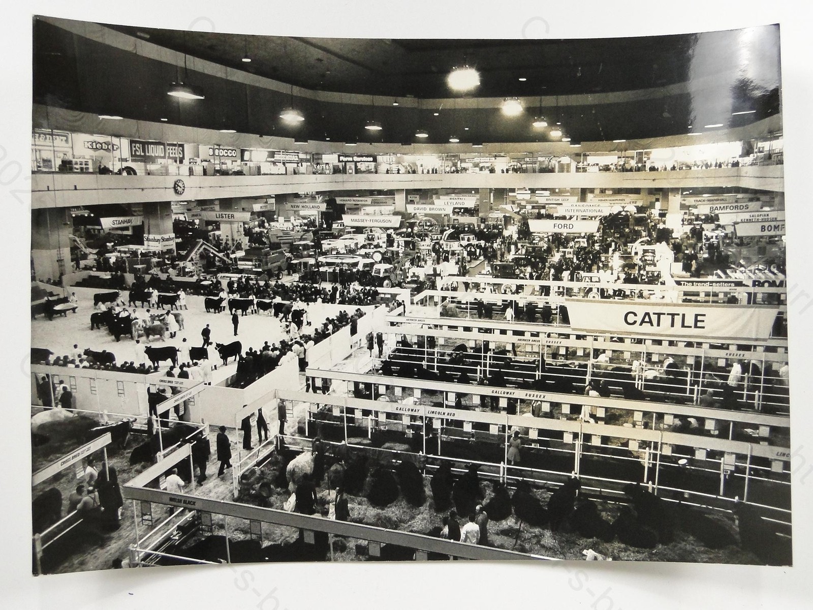 Royal Smithfield Show Earls Court London Cattle Farm Machinery 1972 VTG Photo