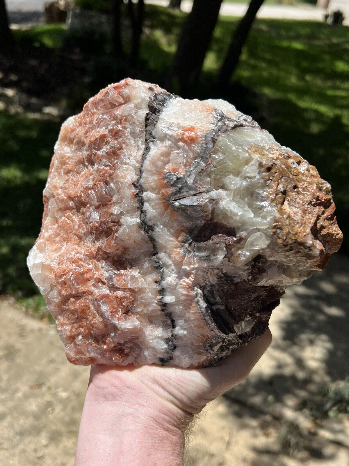 Large Tri -Color Banded Calcite, Mexico 8”—8 lbs 9 Ounces