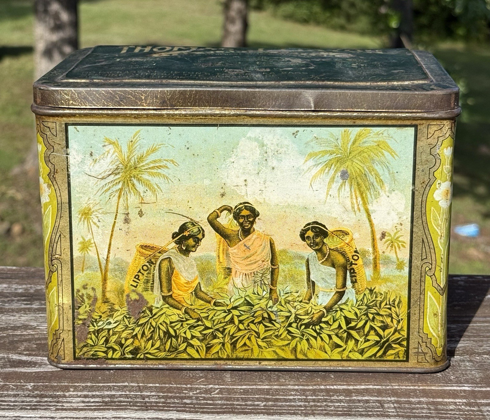 Antique Thomas Lipton Tea Tin Lithograph Box Container Caddy Planter Ceylon Antique Thomas Lipton Tea Tin Lithograph Box Container Caddy Planter Ceylon
