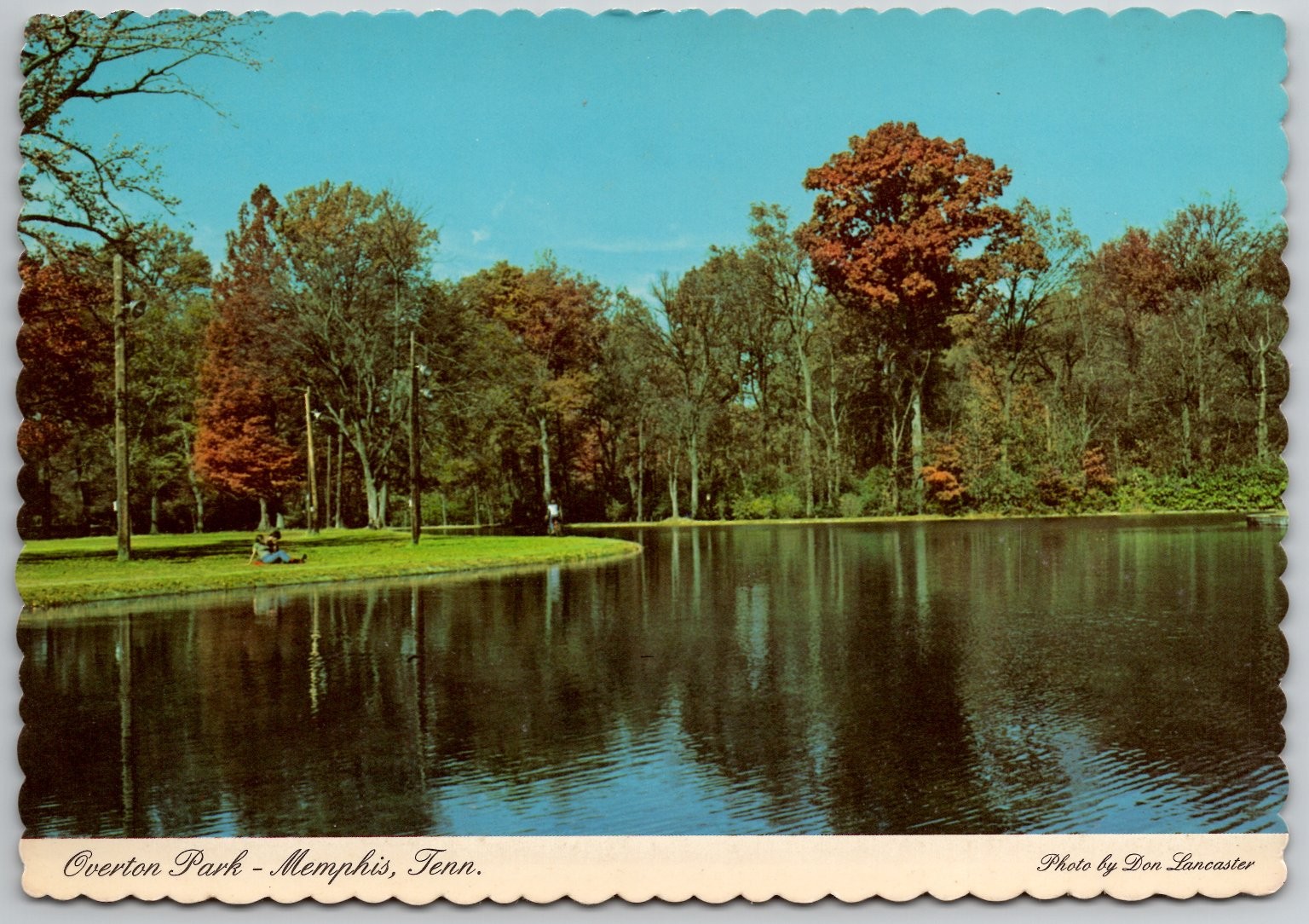 1977 Overton Park Memphis Tennessee Chrome Postcard Dexter Press Scalloped