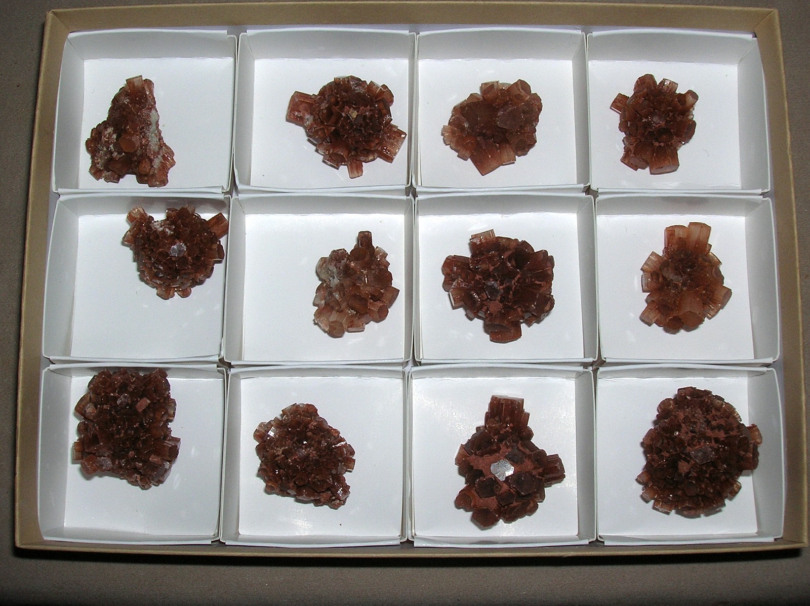 12 pcs Box Aragonite Clusters M0721