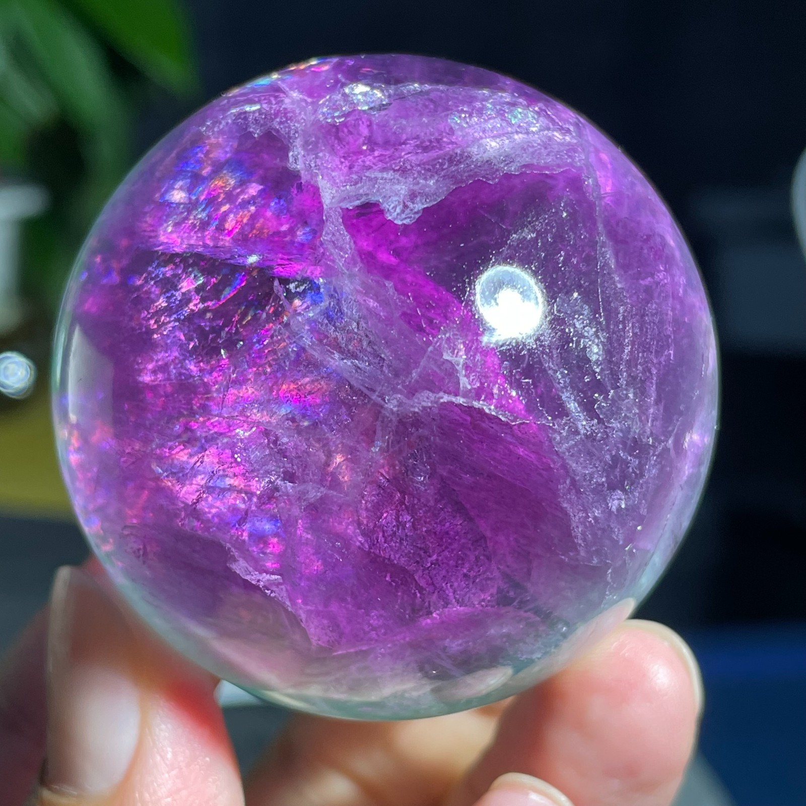 285g Natural Purple Green Watermelon Fluorite Quartz Crystal Sphere Specimen
