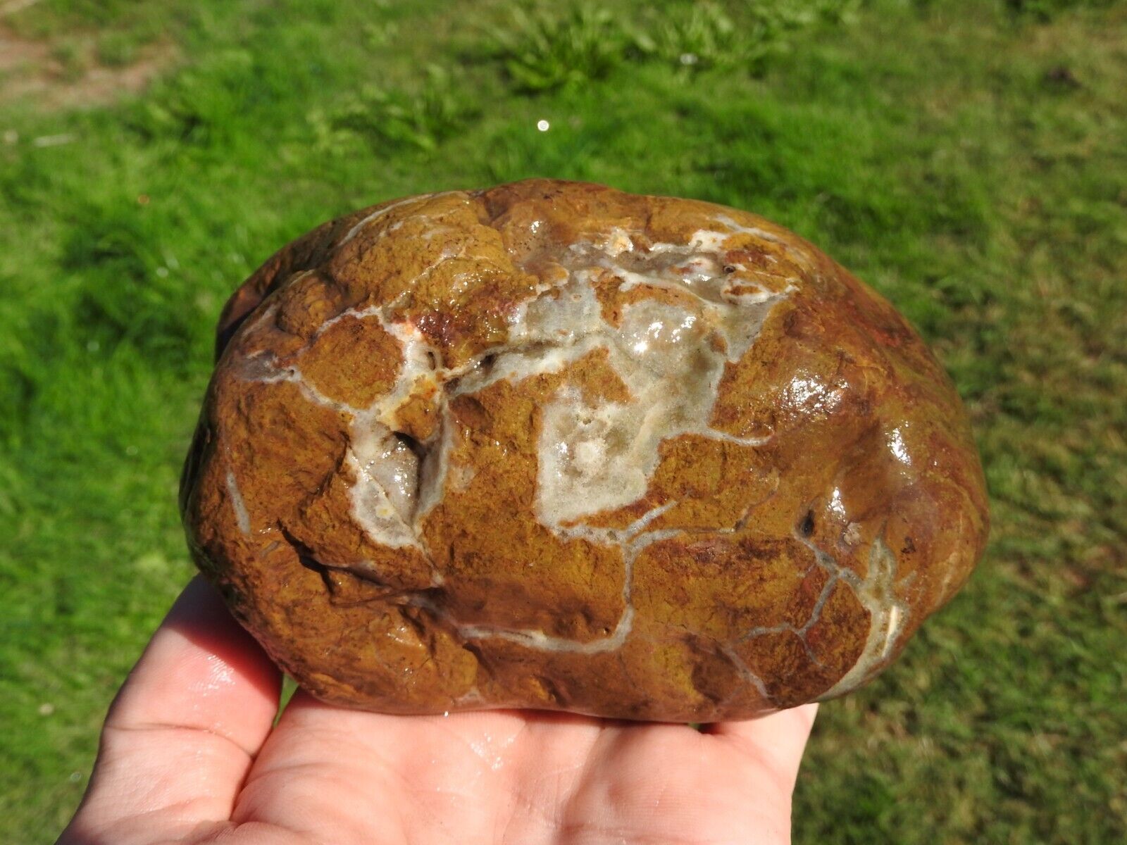 Banded RHYOLITE Beach, River Rock MARBLED, Fortified Agate Banding RARE 2lbs+