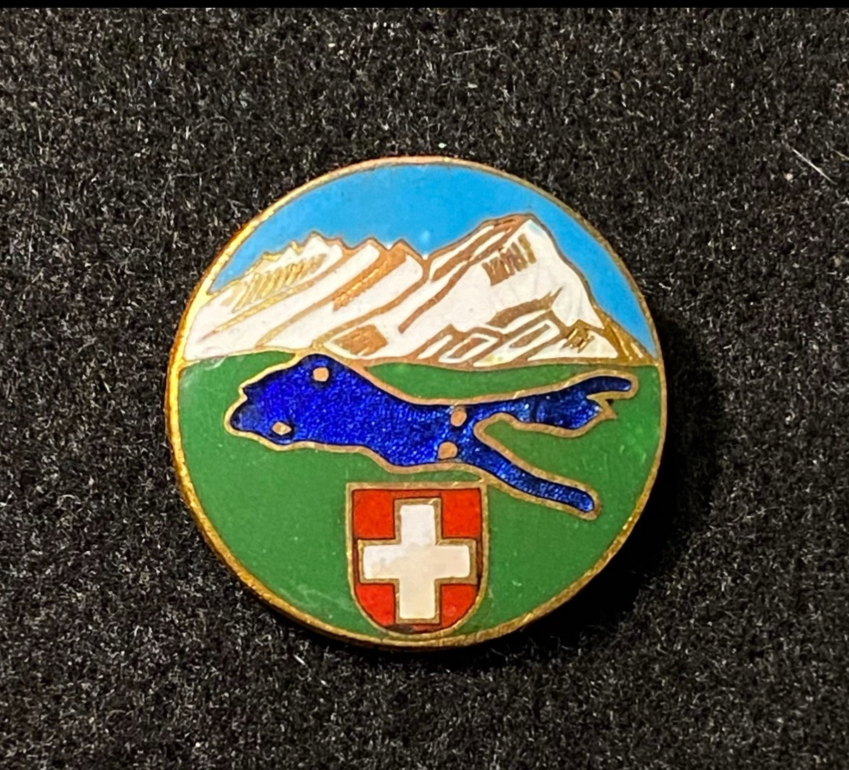 LAKE CONSTANCE Vintage Pin Badge Bodensee SWITZERLAND Alps Resort Souvenir