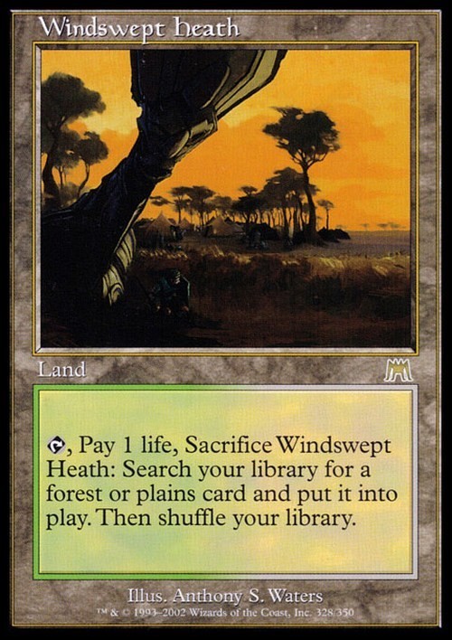 Windswept Heath ~ Onslaught [ Excellent ] [ Magic MTG ]