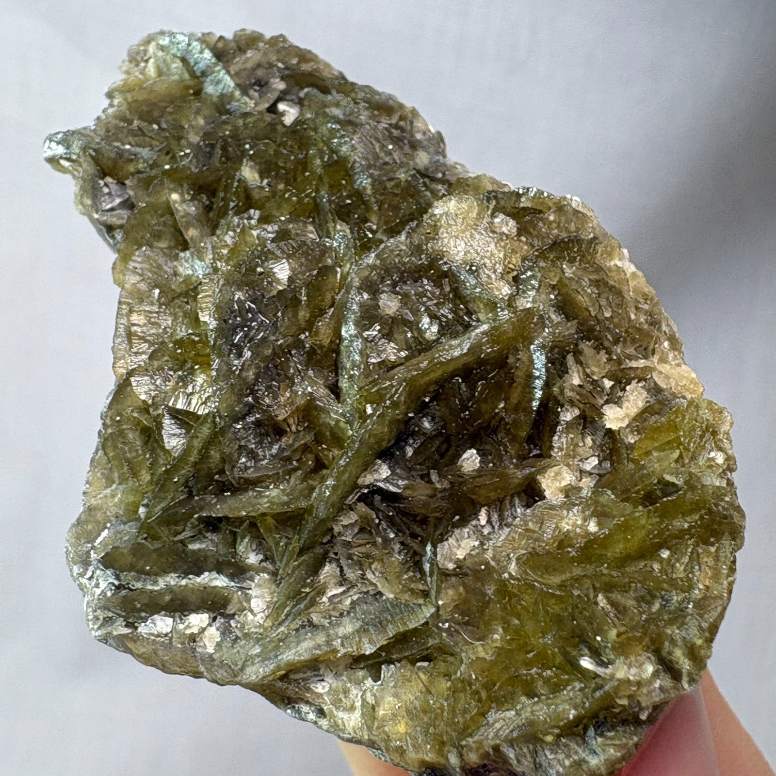 Natural Siderite Rosette Cluster Raw Mineral Specimen Reiki Guizhou Reiki Heal