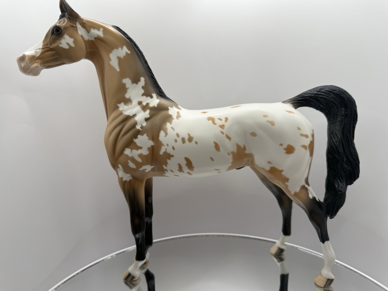 Peter Stone DAH 2014 Equilocity Model Horse Appaloosa Arabian Buckskin
