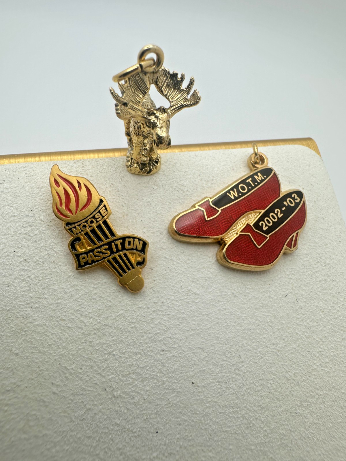 Vtg 1979-79 WOTM Moose Pendant 2002-03 Ruby Slippers Torch Pass It On Pin Lot