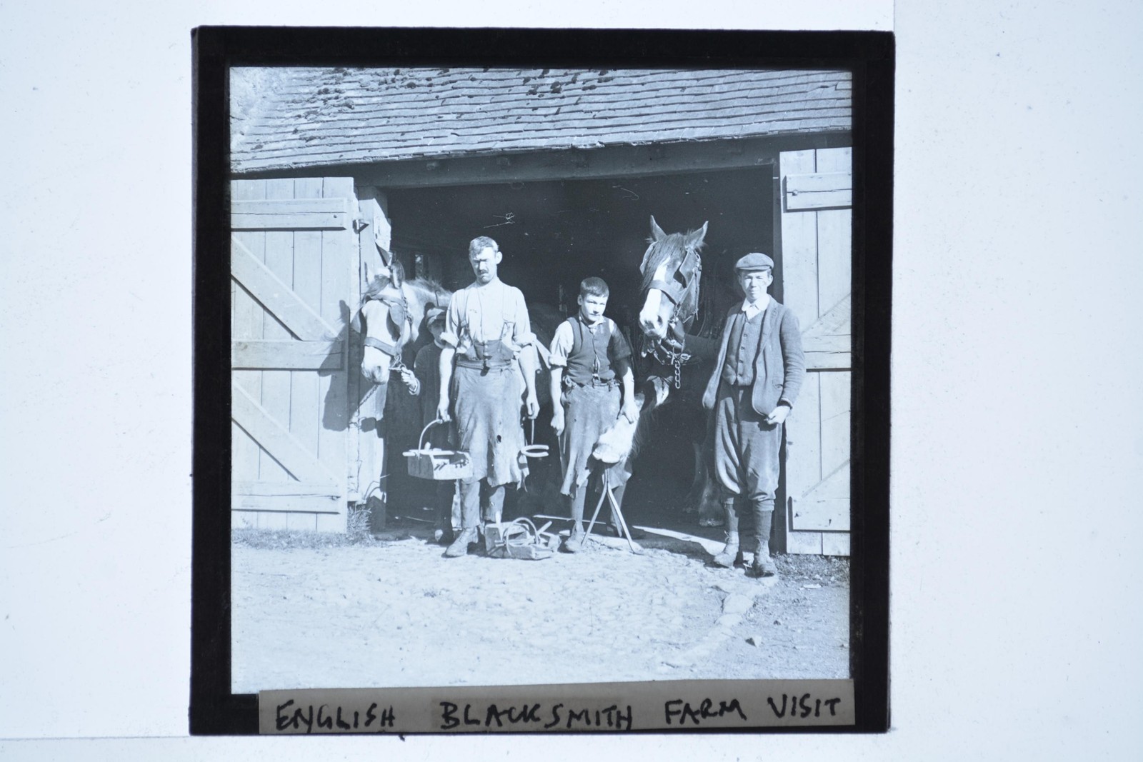 English Blacksmith Farm Visit Farrier Horses Magic Lantern Slide c1900s